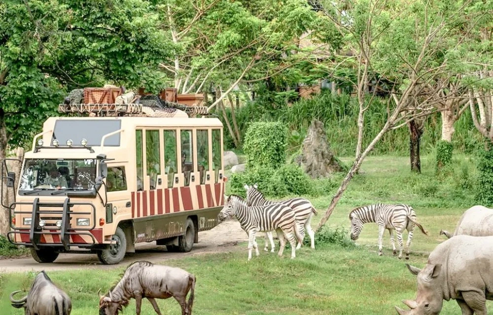 Attractions Image